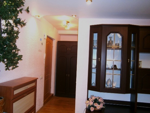 Аренда квартир: ул. Петра Нищинского 6, Киев долгосрочно /F992359631-992359631-фото№2