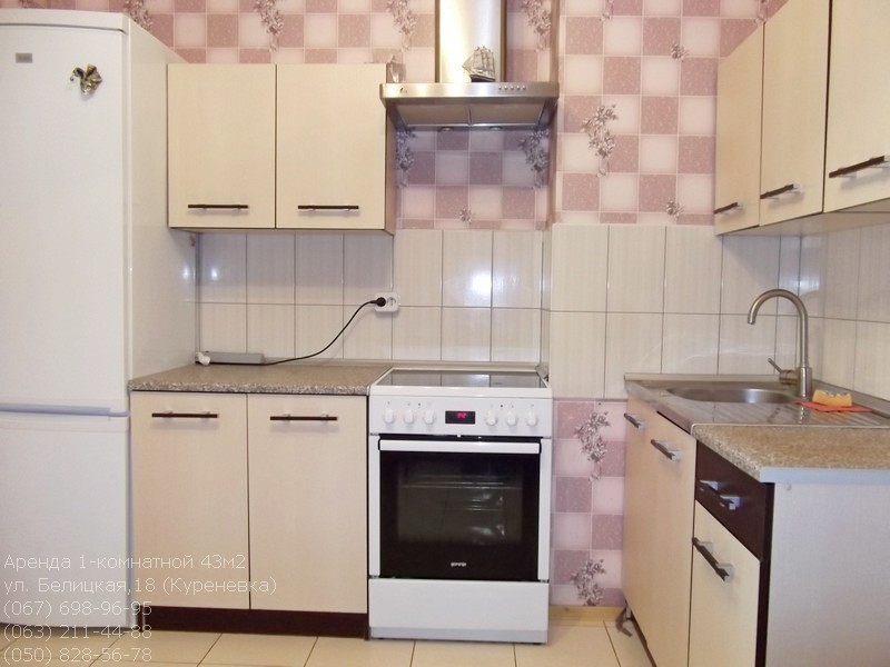 Аренда квартир: ул.  Белицкая  18, Киев долгосрочно /F515409597-515409597-фото№1