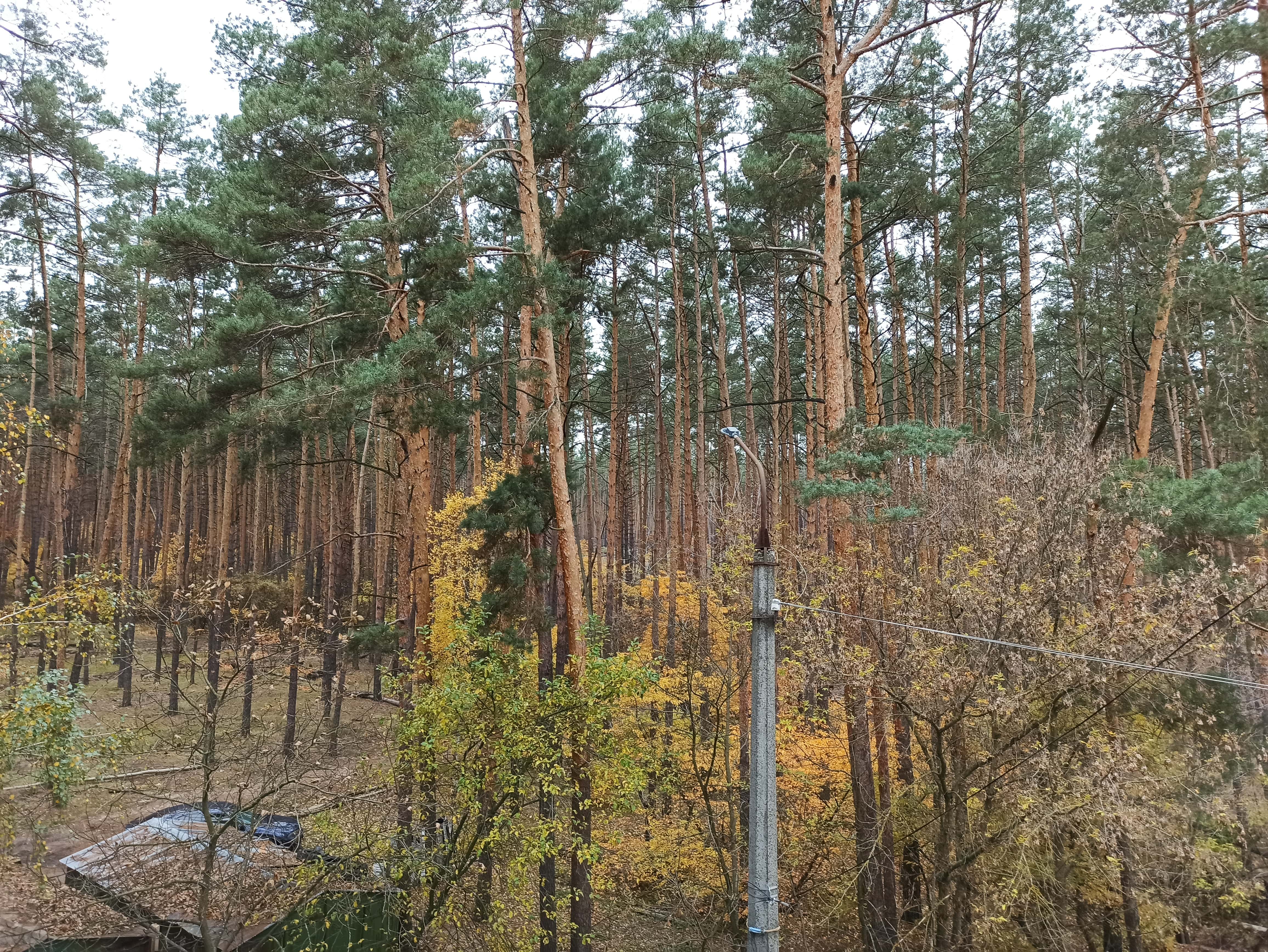 Аренда квартир: ул.  Лесная  1, Киев долгосрочно /F560657528-560657528-фото№3