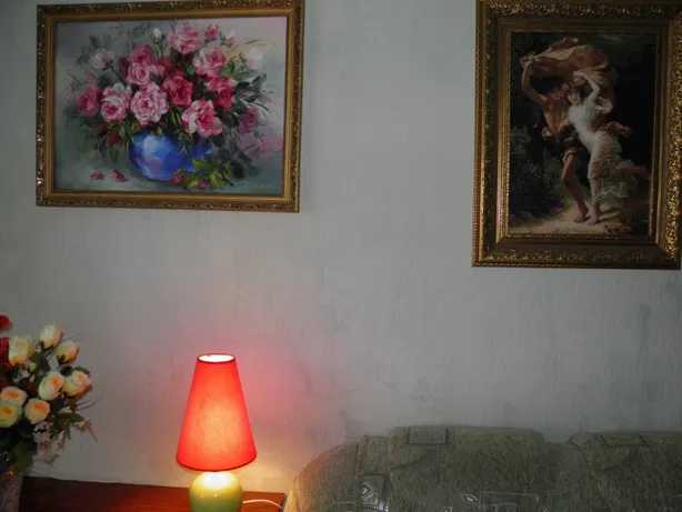 Аренда квартир: бул.  Леси Украинки  28, Киев долгосрочно /F748717473-748717473-фото№2