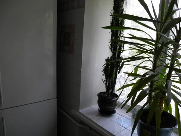 Аренда квартир: бул.  Леси Украинки  28, Киев долгосрочно /F748717473-748717473-фото№7