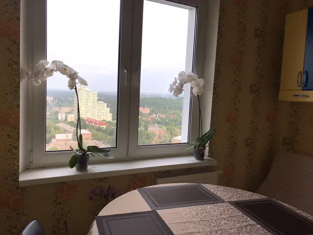 Аренда квартир: пр-т Науки   55а, Киев долгосрочно-131523743-фото№1