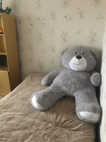 Аренда комнат: пр-т Георгия Гонгадзе 24б, Киев долгосрочно /F102631377-102631377-фото№8