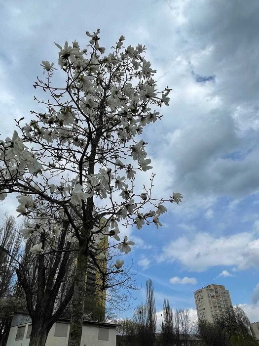 Аренда квартир: бул. Вацлава Гавела 7в, Киев долгосрочно /F207604285-207604285-фото№14