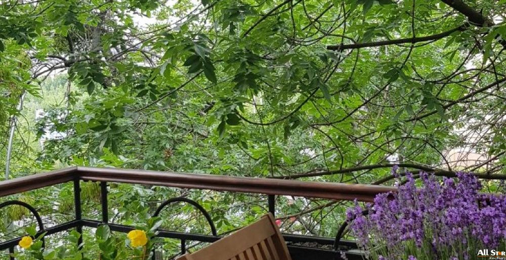 Аренда квартир: ул. Деловая 13, Киев долгосрочно /F85288113-85288113-фото№13