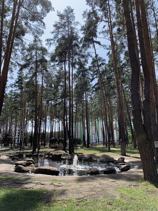 Аренда квартир: ул. Григория Сковороды 11, Ирпень долгосрочно /F290491491-290491491-фото№5