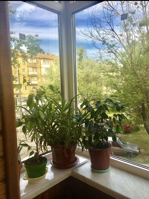 Аренда квартир: пр-т  Соборности  24, Киев долгосрочно /F188151490-188151490-фото№9